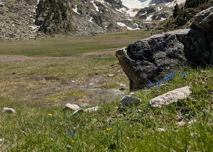 Daire Le 31 Clos Sainte Marie Cauterets